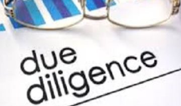 Due Diligence