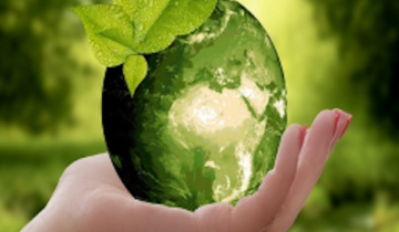 Sustainability Reporting